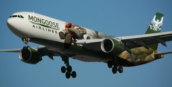mongoose-airlines-d22c998e94554388b62699f55157cc43
